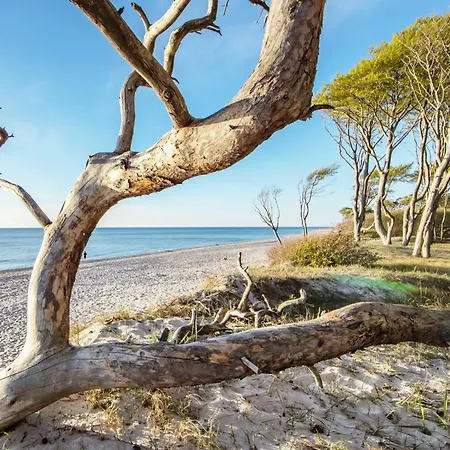 Lejlighed 2-zimmer Sonnengott, Zwischen Ostsee Und Bodden Mit Sued- Und Westbalkon Wustrow (Fischland)